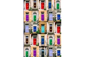 Dublin Doors - Decisions are like Doors: a 6x9 inch lined notebook for taking notes, doodling, and bringing with you to meetings and gatherings