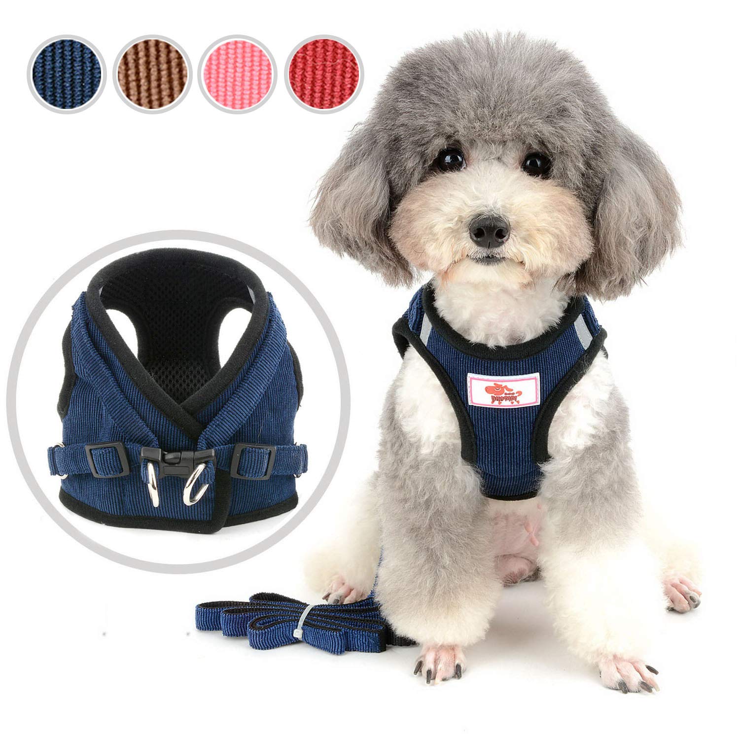 small dog harness and lead