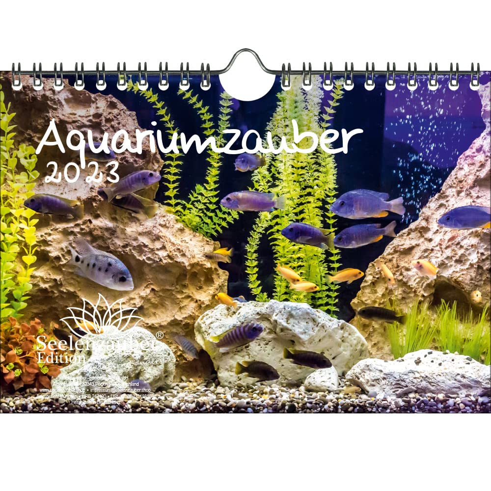 A5 A5 Wall Calendar for Aquarium and Underwater 2023