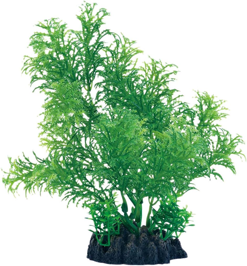Amazon ジェックス 癒し水景 広がるカボンバ 観賞魚 水槽用オーナメント 横に広がる人工水草 ジェックス 人工水草 通販