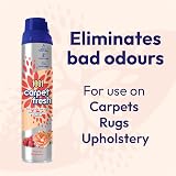 1001 Carpet Fresh Peony & Raspberry 6 Pack view 2