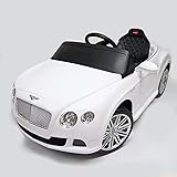 Amazon Com Lamborghini Aventador 12v Kids Ride On Battery