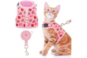 BINGPET Cat Harness with Leash Escape Proof - Fashionable Mesh Cat Dog Walking Harness Leads, Adjustable for Kitties Puppies Small Animals