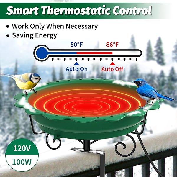 JVGOO HEATED BIRD BATH FOR DECK RAILING, POWERFUL 100W THERMOSTATICALLY CONTROLLED HEATED BIRD BATHS FOR OUTDOORS FOR WINTER, HEATED BIRDBATH WATER HEATER FOR OUTSIDE GARDEN YARD PATIO LAWN (GREEN)