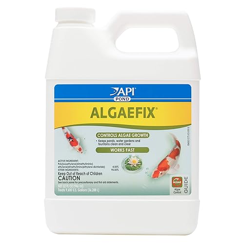 Top 10 Best Algaecides in July 2021