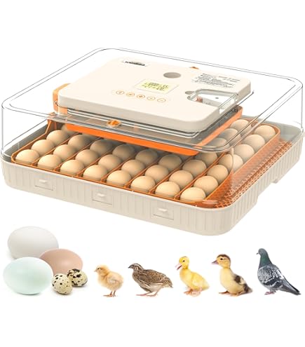 32 Eggs Egg Incubator, Egg Candler, Automatic Egg Turner, Automatic - View #14