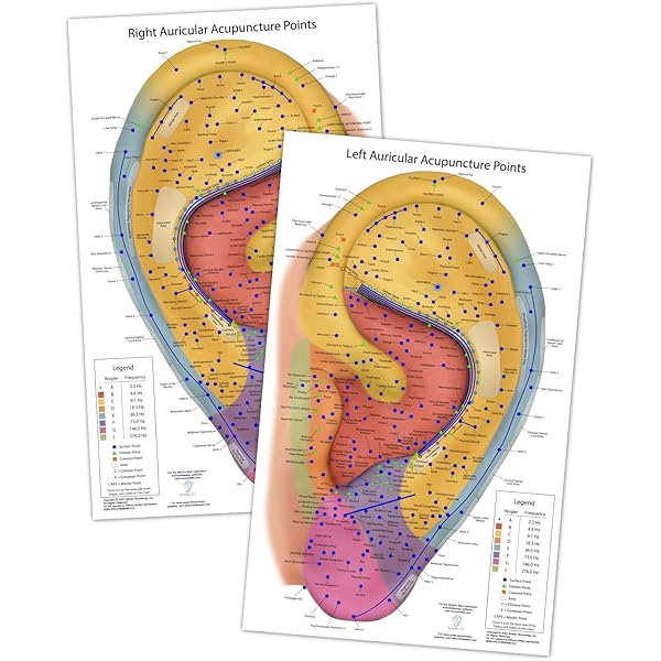 Auriculotherapy Manual: Chinese and Western Systems of Ear