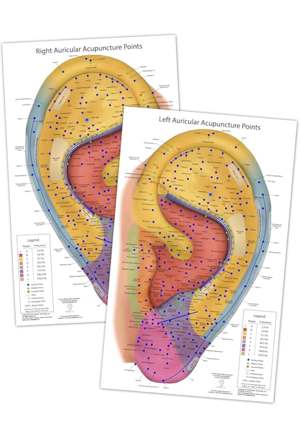 Auriculotherapy Manual: Chinese and Western Systems of Ear