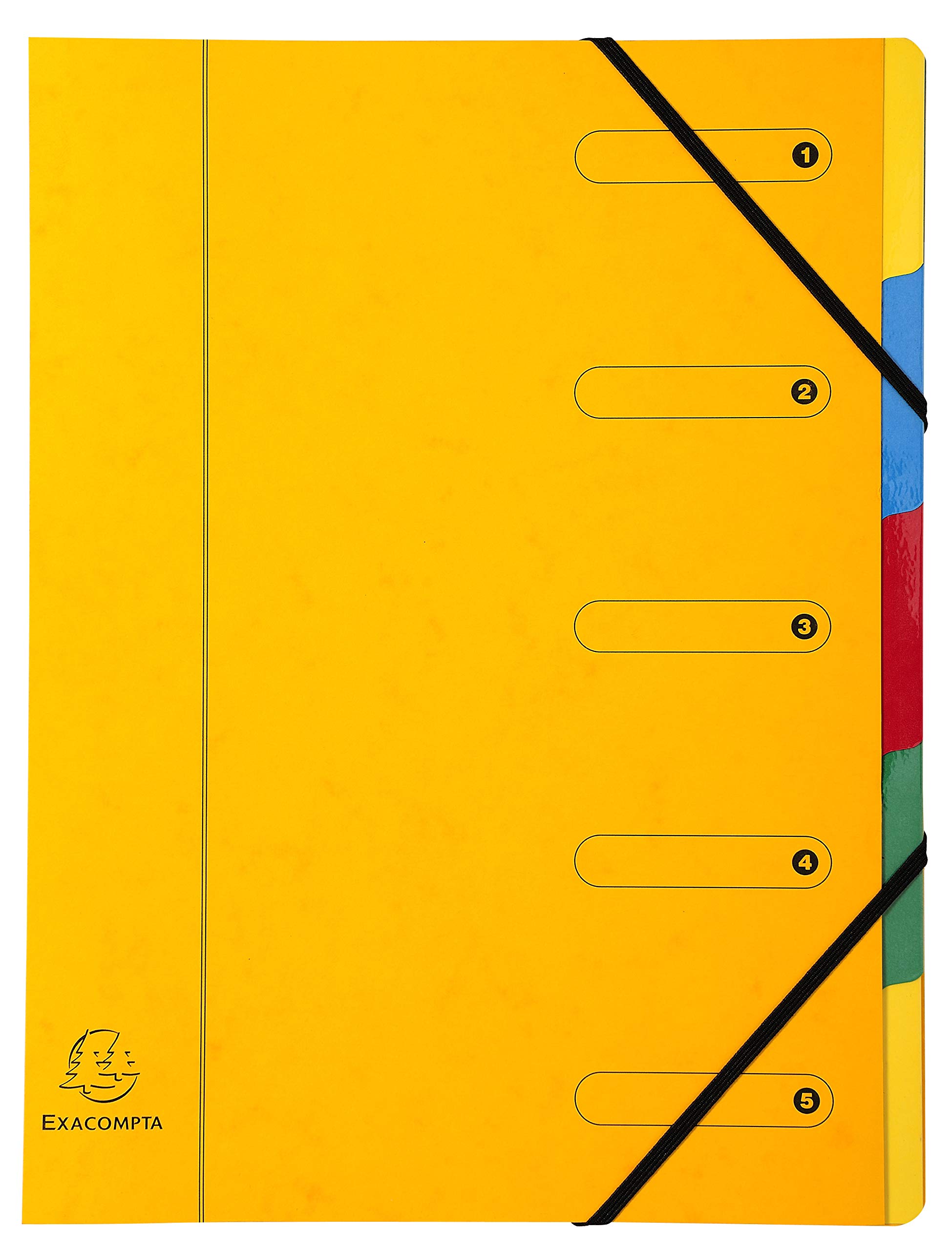 Exacompta - Ref 5205E - Harmonika Multipart File - 24.5 x 32cm in Size, Suitable for A4 Documents, 5 Multi-Coloured Tabbed Sections, Premium Pressboard Cover - Assorted Colours