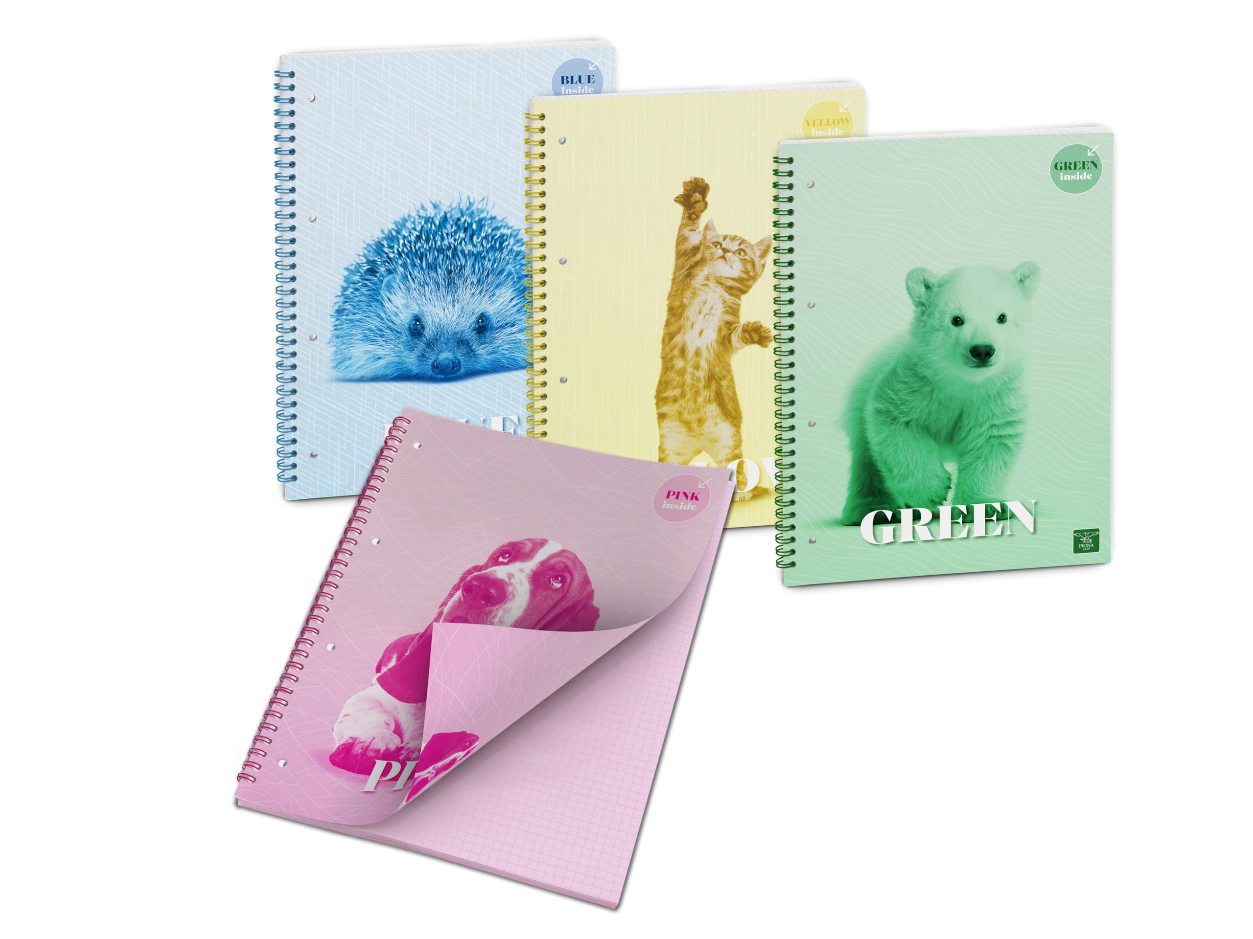 Pigna, Colour Inside Spiral Notebook with Coloured Sheets, 21 x 29.7 cm, 50 Sheets, 80 g/m², 4 M Squared Sheets, Pack of 4 (4 Subjects in Package)