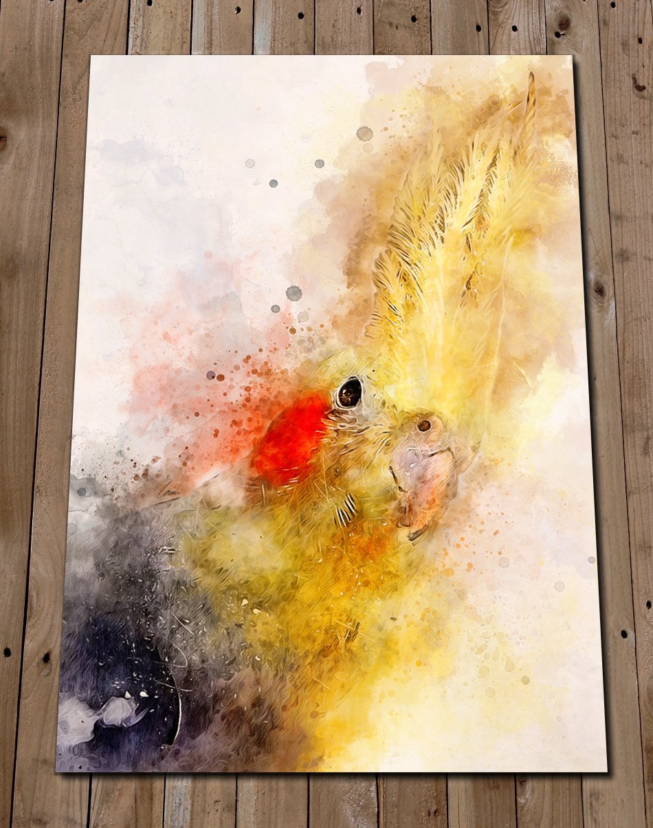cockatiel painting