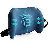 Lumbar Support Pillow for Office Chair, Car Lumbar Pillow Lower Back Pain Relief, Memory Foam Back Cushion with Adjustable Straps, Ergonomic Chair Back Pillow for Gaming Chair, Car, Bed (BLUE)