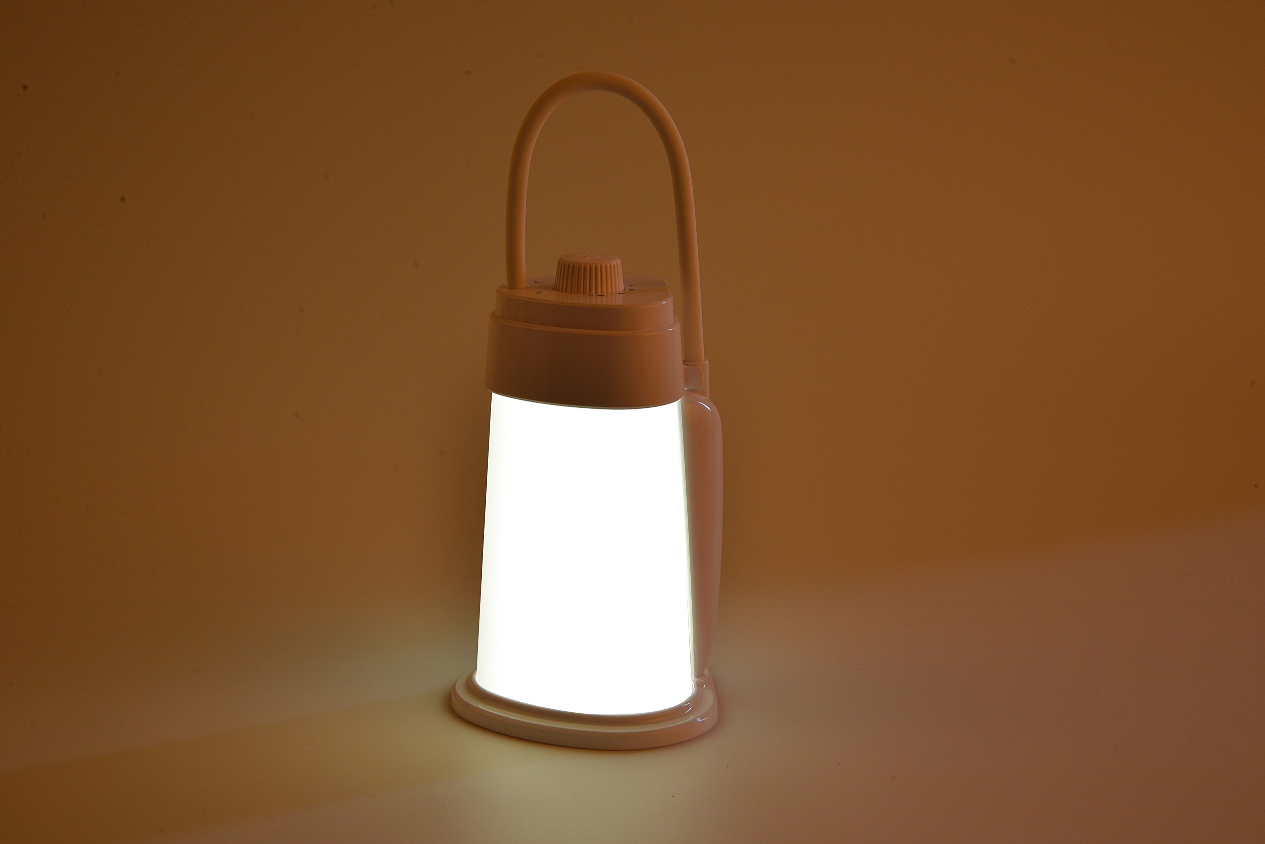 Rechargeable Battery Powered Reading Book Light for Bed, LED Dimmable Adjustable Desk Table Lamp USB Charging Port for Kids Study Bedroom Bedside Nightstand Headboard Lantern, Nursery Night Lamp