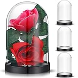 Zhengmy Plastic Dome Display Case Cloche Bell Jar
