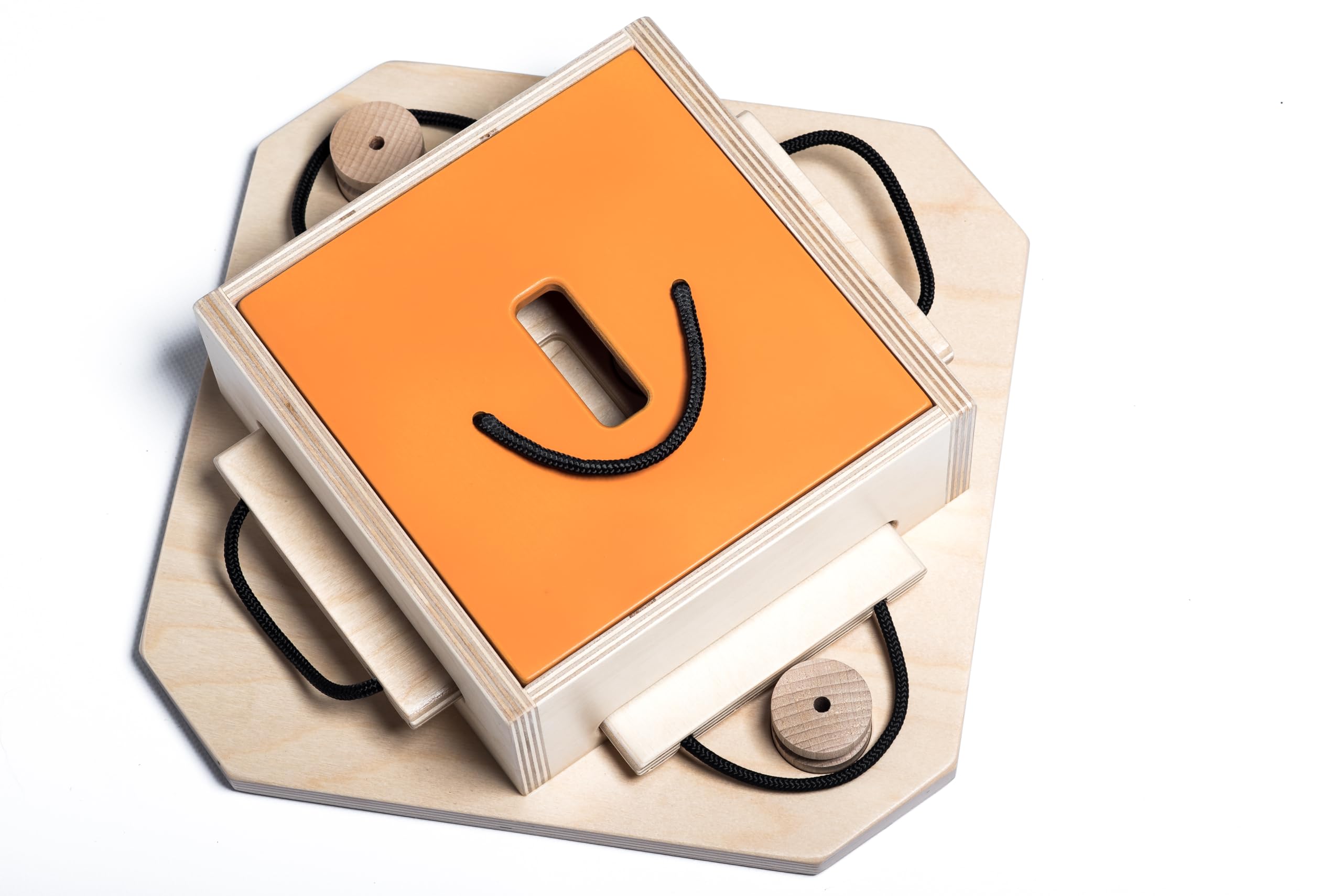 My Intelligent Pets Trouble Interactive Wooden Dog and Cat Toy