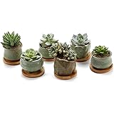 T4U Succulent Planter Pots Ceramic -Set of 6, Small Ceramic Succulent Pots Cactus Planters, Clay Pots with Drainage Window Boxes with Bamboo Tray, Green