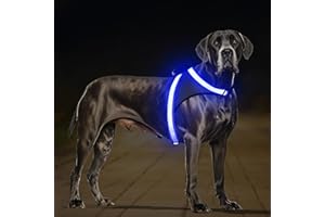 ChalkLit Light Up Dog Harness, No Pull Led Dog Harness Glow-in-The-Dark for Night Walking, USB Rechargeable Lighted Safety Vest for Medium Large Dogs, Adjustable Soft Mesh Fully Illuminated (Blue, XL)