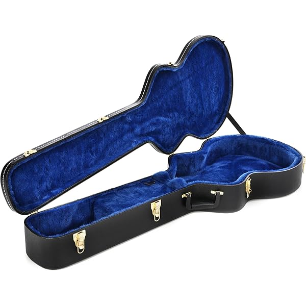 Amazon.com: Ibanez PF50C Dreadnought Hard Shell Case for PF
