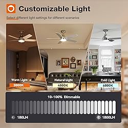 addlon Ceiling Fans with Lights, 42 inch Nickel
