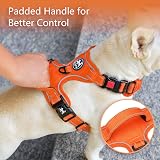 PoyPet No Pull Dog Harness Reflective Vest with Front & Back Leash Rings S view 4