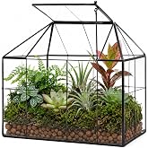 Large Glass Terrarium House Planter &ndash; Succulent Plant Terrarium House Shape Glass Greenhouse Terrarium with lid 9.8"X7.9"X5.9"