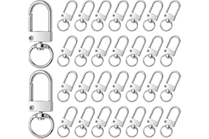JJUNW 30 Pcs Metal Lobster Claw Clasp, Swivel Snap Key Chain Clip Hooks, Keychain Hooks for Keychain Making DIY Crafts Lanyard Making Pet Collar(Silver)