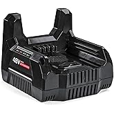 Briggs & Stratton 48V MAX Battery Charger for Snapper HD Cordless Electric Tools