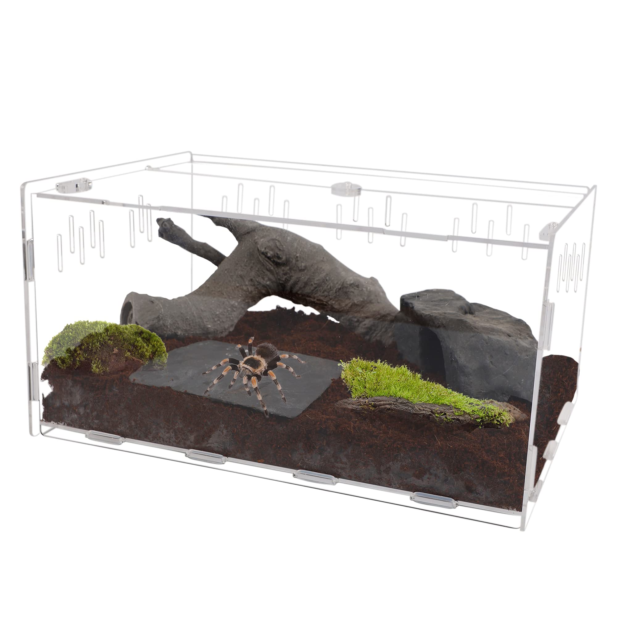 Photo 1 of winemana Reptile Terrarium, Tarantula Enclosure, 16" x 11" x 6" Acrylic Large Feeding Tarantula Habitat Box for Small Animals Insect Home Office