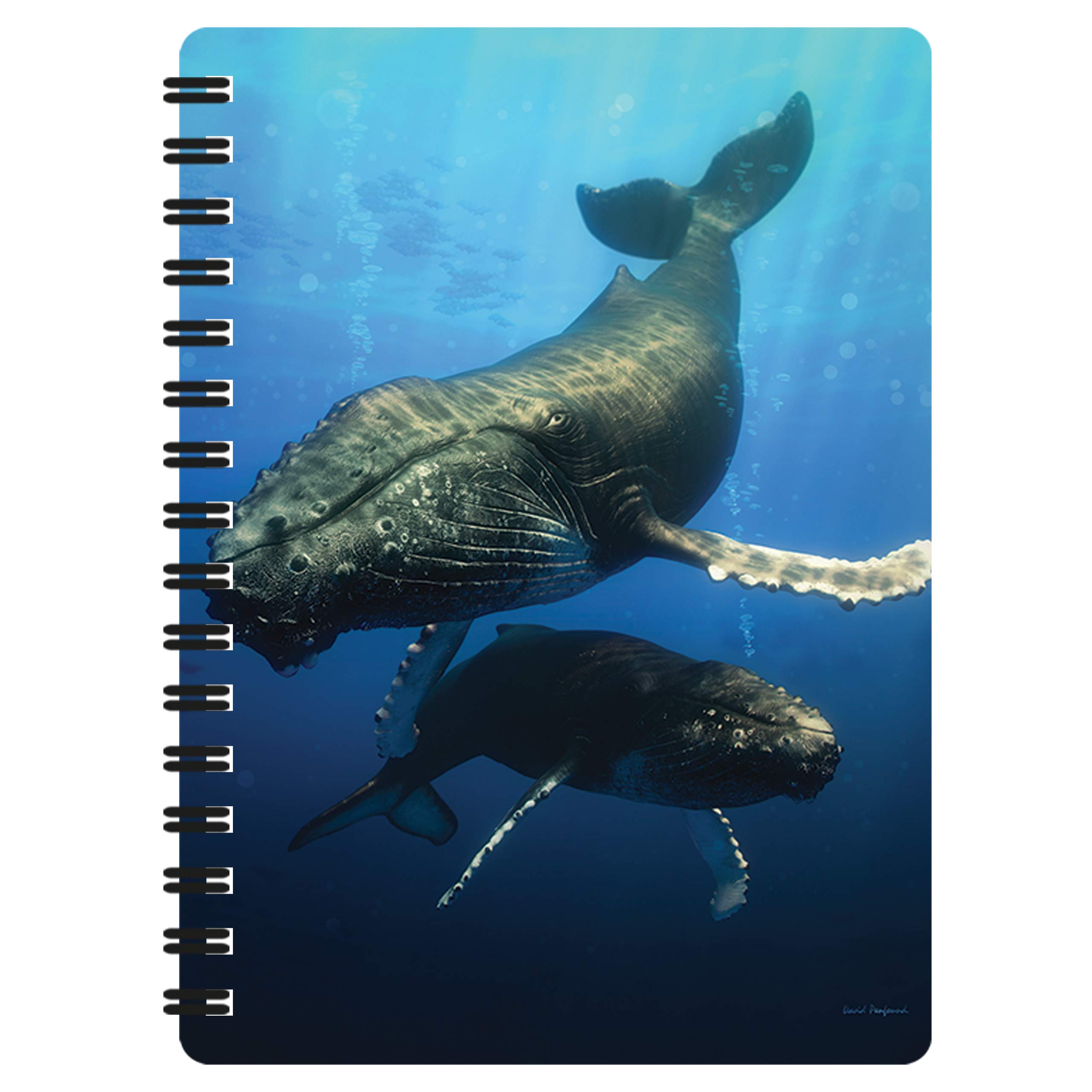 3D LiveLife Jotter - Blue Whale from Deluxebase. Spiral Bound A6 Notebook with 80 Plain Recycled Pages. Pocket Sized Animal Notepad, Journal or Drawing Book with Whale Cover