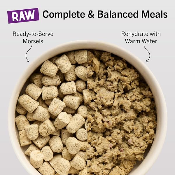 STELLA & CHEWY’S FREEZE-DRIED RAW CAT DINNER MORSELS – PREMIUM DUCK & GOOSE RECIPE WITH 98% CAGE-FREE POULTRY & ORGANS – NATURAL GRAIN-FREE CAT & KITTEN FOOD – MADE IN USA – 3.5 OZ