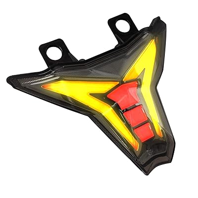 LED Smoked Tail Light with Integrated Turn Signals Nigeria