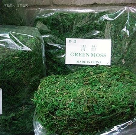 Hot Sale 50g Bag Keep Dry Real Green Moss Decorative Plants Vase