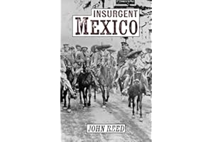 Insurgent Mexico