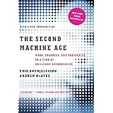 The Second Machine Age: Work, Progress, and Prosperity in a Time of Brilliant Technologies