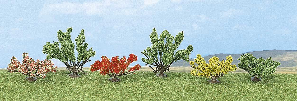 Как называются кустарники. 6 кустов. Робиния лжеакация куст. 6 кустов да хун пао. Кустарники презентация.