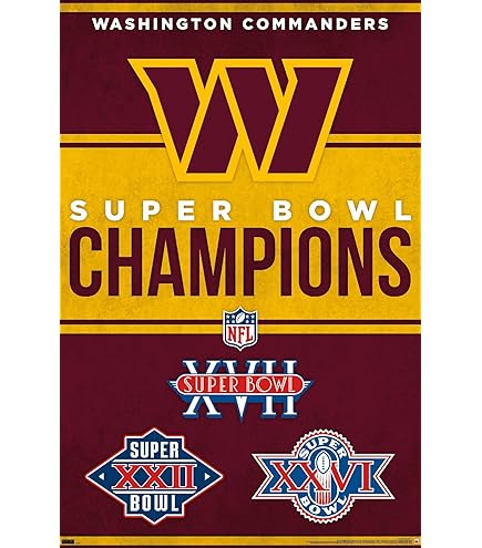 Philadelphia Eagles Throwback Game Poster - 40x13.5 Inch Stadium Panorama Print