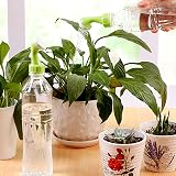 AWAVM 6 Pack Bottle Top Sprinklers DIY Small Plastic Watering Can Plant Waterers view 6
