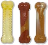 Nylabone Tough Dog Chew Toy Bones BBQ Chicken Corn on the Cob Ice Cream Variety