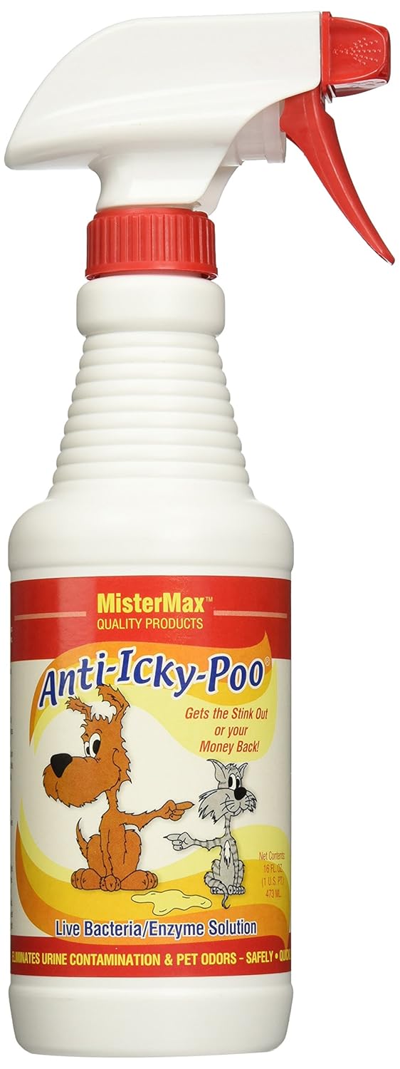 Best host carpet cleaning reviews