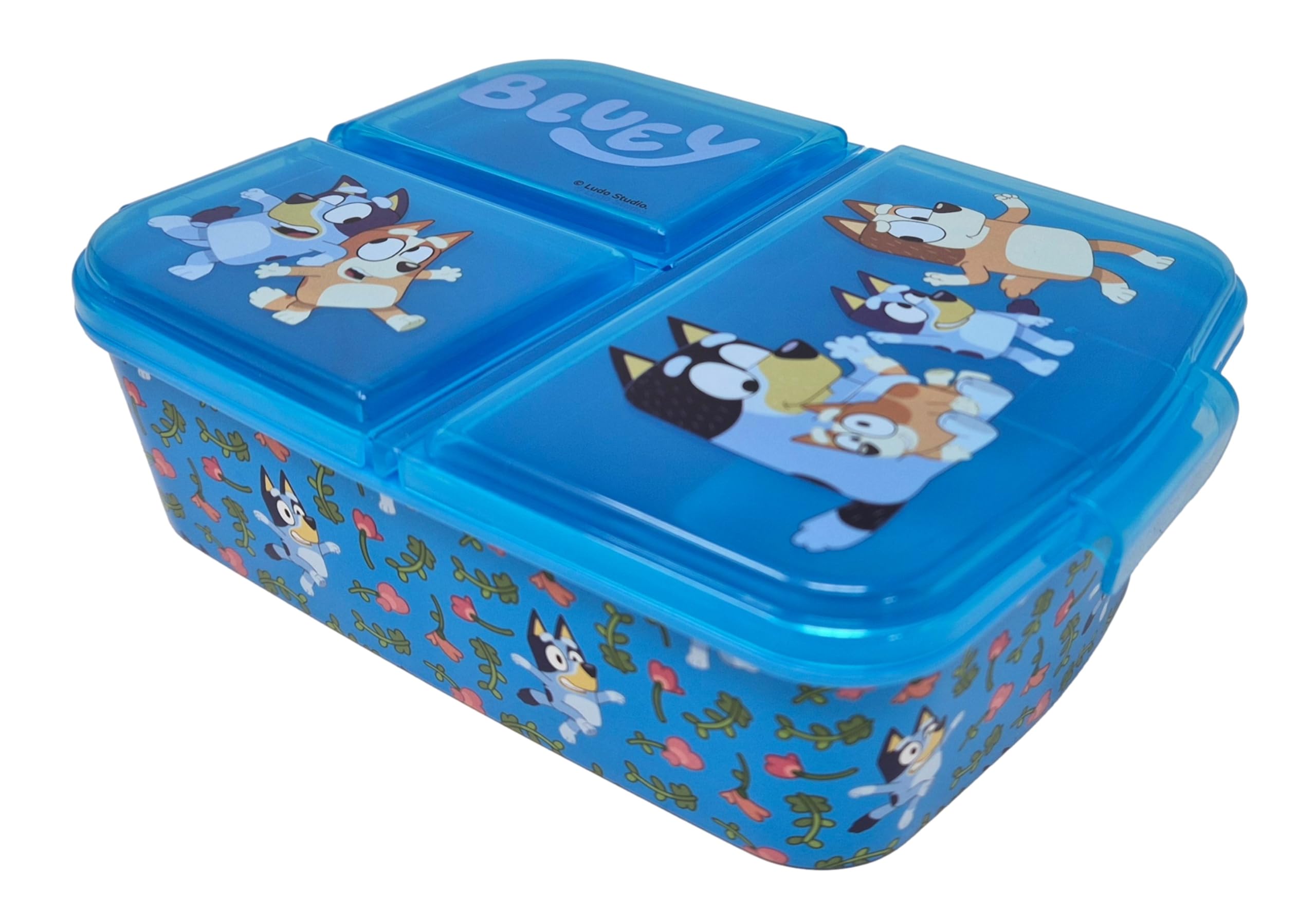 Theonoi Children's Lunch Box, Various Designs, BPA-Free Plastic, Blue