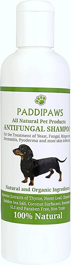 natural yeast infection treatment for dogs