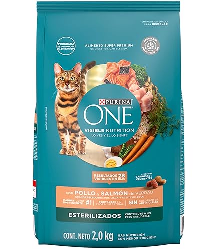 Purina Kit and Kaboodle Dry Cat Food, Original, 22 Lb Bag, Features 4 Tasty  Flavors: Chicken, Liver, Turkey, Ocean Fish by Purina Kit & Kaboodle :  Amazon.com.mx: Productos para animales