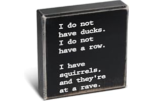 LITIVY Funny Desk Sign I Do Not Have Ducks. I Do Not Have a Row. I Have Squirrels, And They're At a Rave. Small Desk Sign (4.5 X 4.5 Inch, Black)