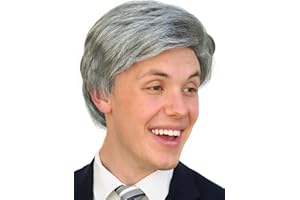 WITTY EMPORIUM TV Show Host Wig Adult Costume Gray Silver Old Man Grandpa Politician Comic Wig Mens Grey Hair Accessory