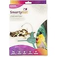 SmartyKat, Loco Motion, Electronic Motion Cat Toy, Interactive Wand, With Feathers, Adjustable Speed, Battery Powered
