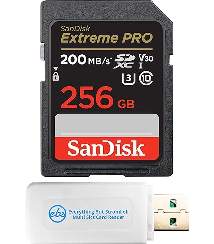 Amazon.com: SanDisk SD Ultra Memory Card Works with Canon