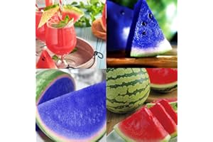CARPET CREEPING 100+ Rare Watermelon Seeds for Planting Outdoor- Non-GMO Heirloom Sweet Juicy Fruit Seeds-Growing Your Own Delicious Fruit in Garden