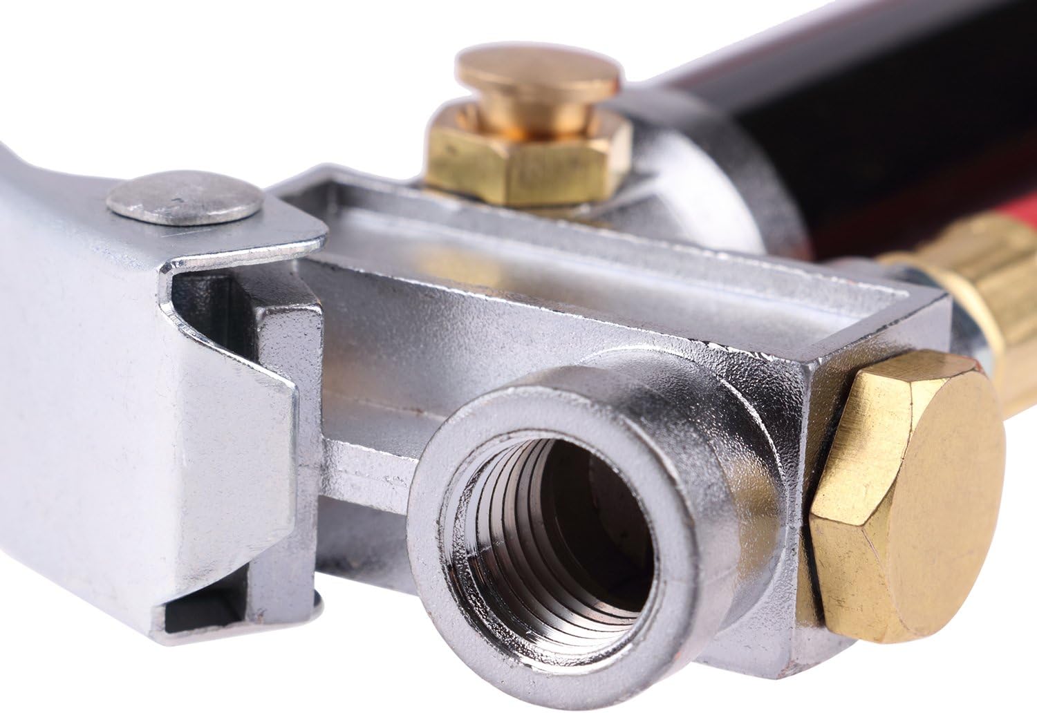 WYNNsky Heavy Duty Dual Head Tire Inflator Gauge with 12 Inch Air Hose,Tire Pressure Gauge with Storage Case: Automotive