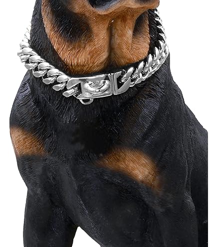 Amazon.com : BAOBOTE Gold Chain Dog Collar with Secure Snap Buckle