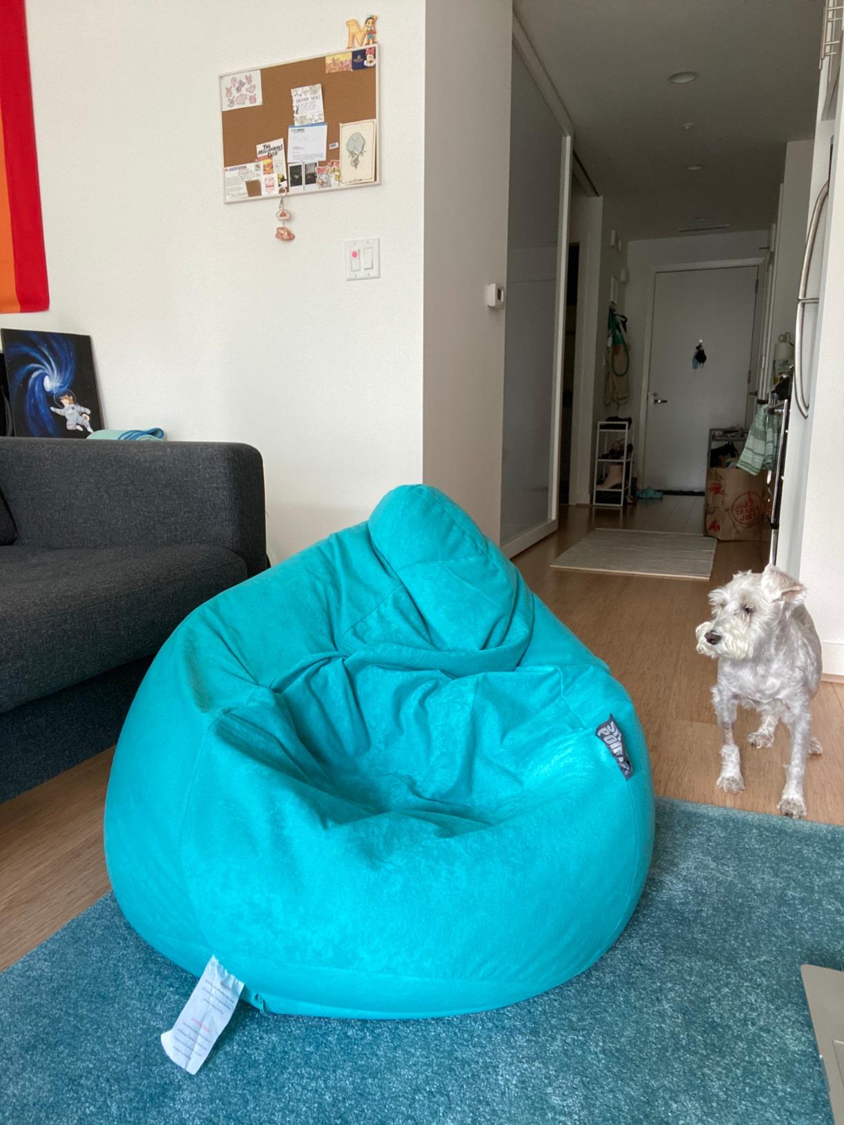 27/mo Finance Gouchee Home Easy Collection Contemporary Polyester